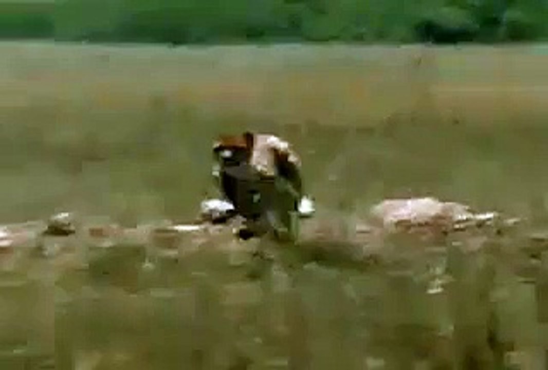 Funny Video | Funmagicmasti