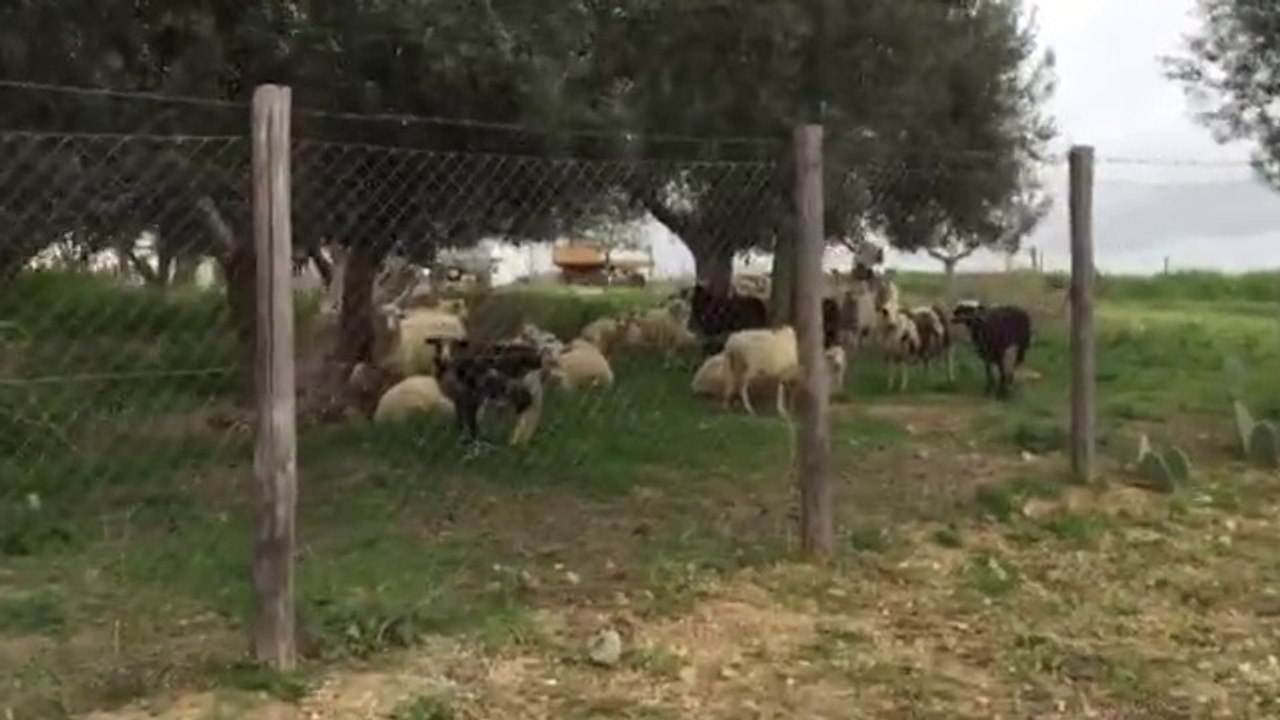 BARBARADURSO.COM - Questo video vi farà piegare dalle risate!! Guardate chi erano i miei vicini di casa a Pasqua...
