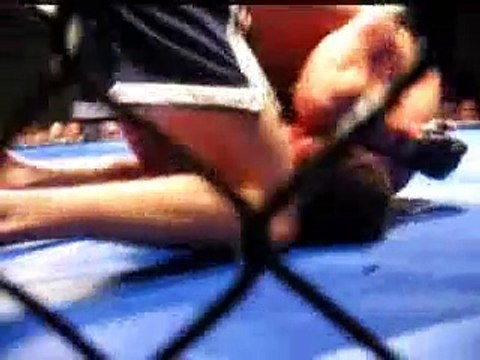 Dan Hawley MMA Fighter preying mantis kung fu style ufc