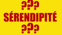#8 Festival International du Film TROUC - Le Titiseur : Vous avez dit sérendipité???