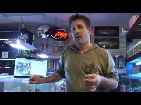 Pet Fish & Aquarium Care Tips : How to Change Water in a Fish Tank