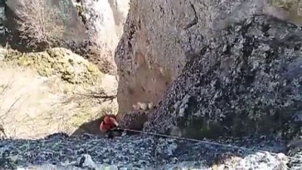 Kayalıkta Kalan Keçilere Afad Operasyonu