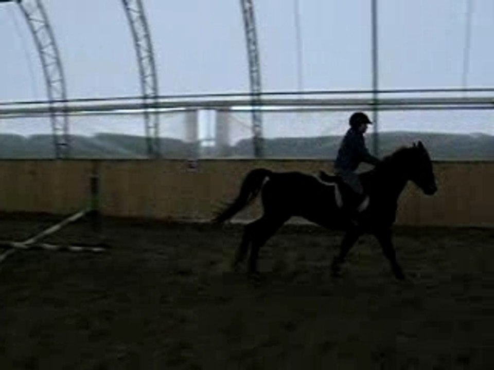 Theya et Cimio - Obstacle (X) au Galop 2