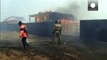 Rusya'da orman yangını kontrol altına alınamıyor