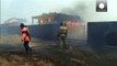 Dozens dead in wildfires in Khakassia region of Russia