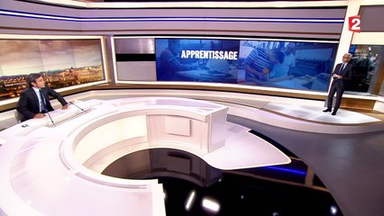 Pourquoi l'apprentissage ne marche pas en France ?