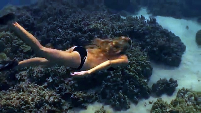 Amazing footage captured of Hawaii's favorite Mermaid