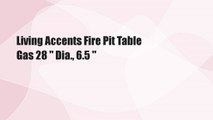 Living Accents Fire Pit Table Gas 28 