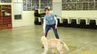 Teach Your Dog Proper Tug of War | Teacher's Pet With Victoria Stilwell