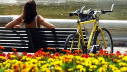 Intervista Daniele Rosa