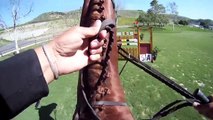 GoPro: Horse Show Jumping