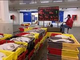 Yannick, acheteur fileteur de poissons à la criée - une vidéo métier Pôle emploi