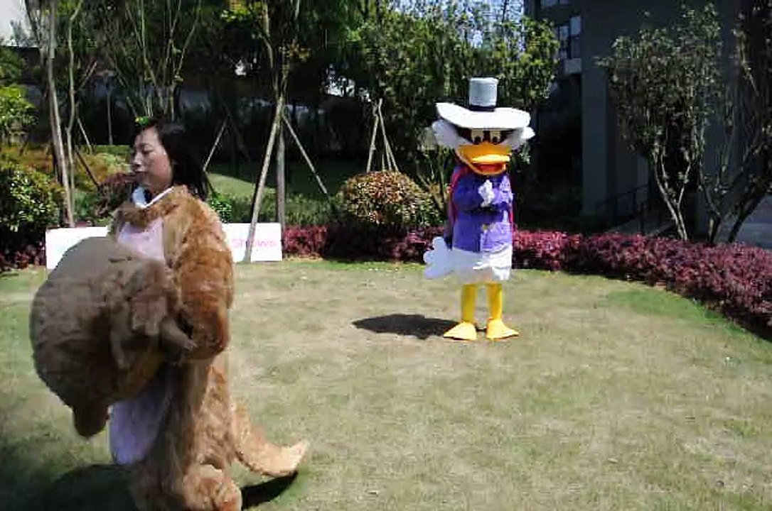 Canards MascotShows fous Costume De La Mascotte De Canard , Location de la mascotte deguisement canar