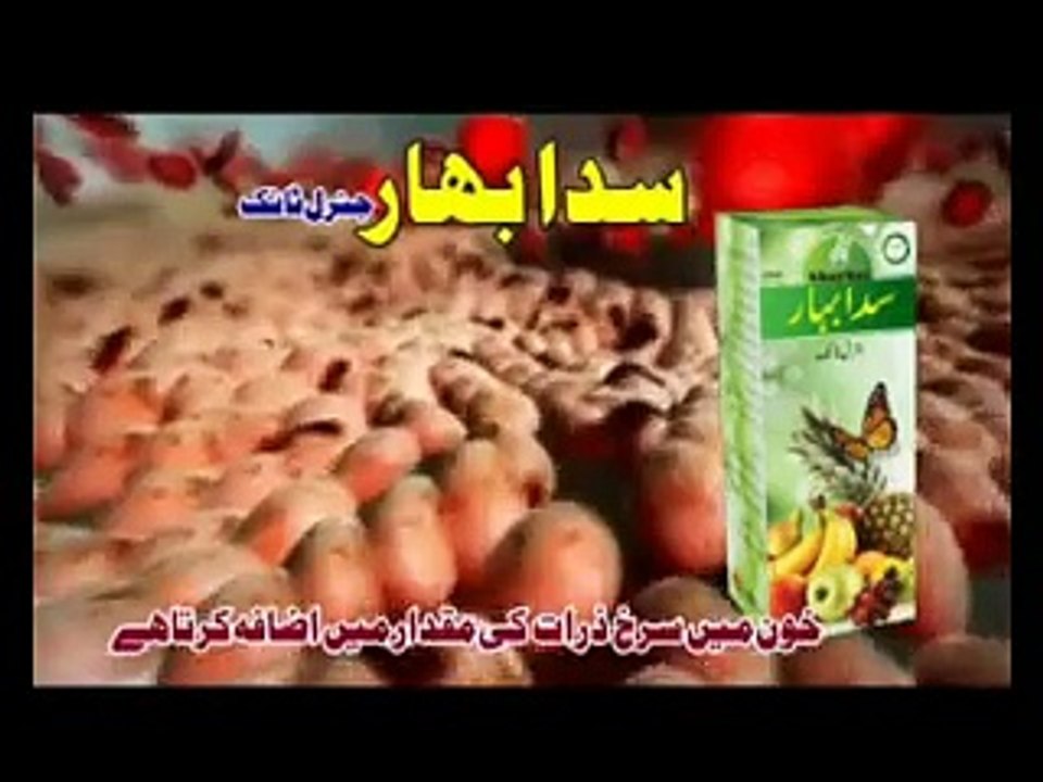 Sada Bahar