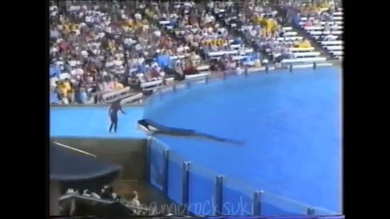 Shamu: World Focus SeaWorld Orlando 1997