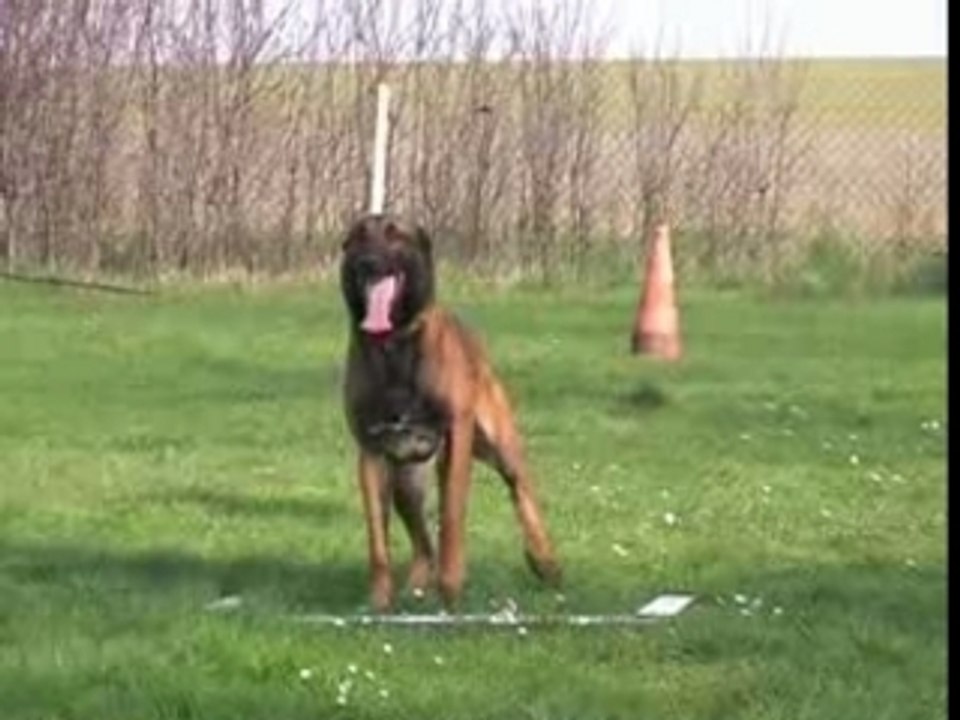 Positions a distance par Ulkan