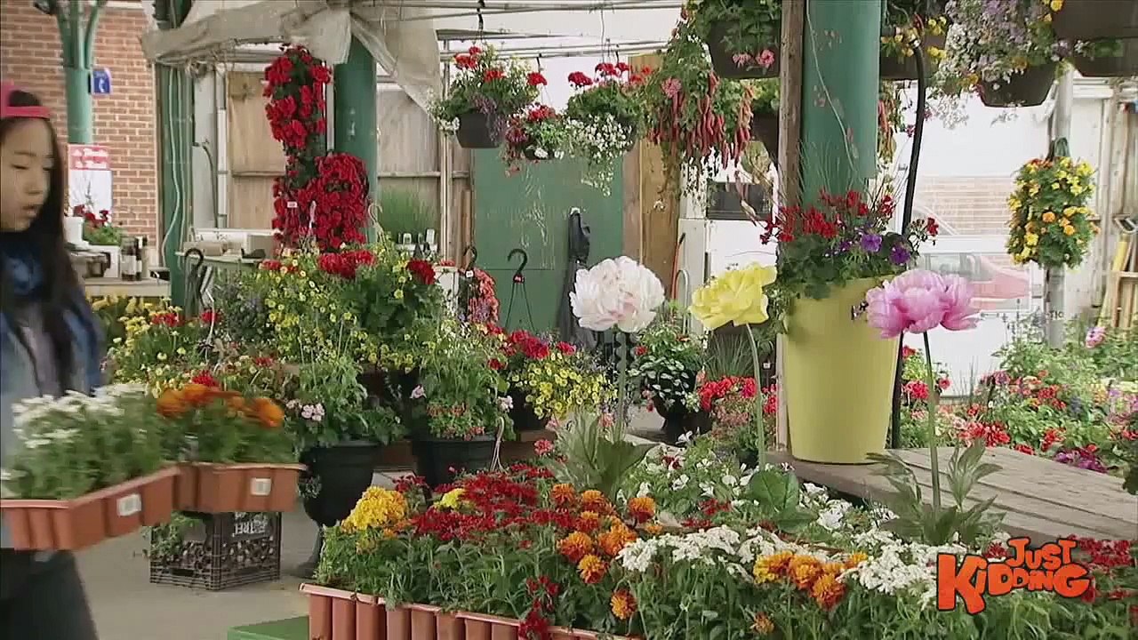 Bad breath kills flowers !