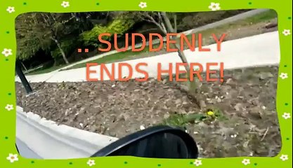 Beat Chafer Grubwom Crow Food with Non-Pesticide Lawn Saving Prevention