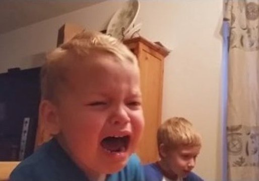 2 Year Old Covets Older Brother's Pokémon