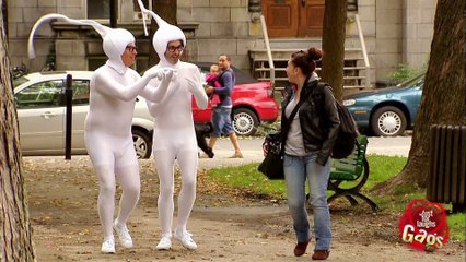 Aka Everything You Never Wanted to Know