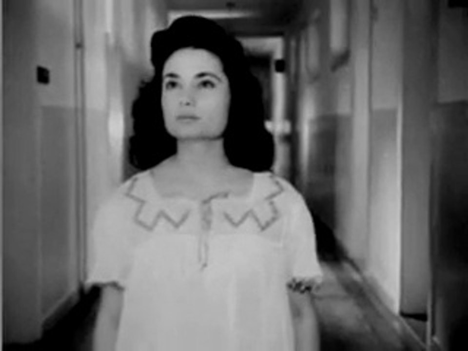 Hülyalı Gecelerde Hasretin Yolcusuyum - Zeki Müren (Belgin Doruk & Zeki Müren)