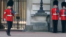 Guardia del Palacio de Buckingham se cae durante un cambio de guardia
