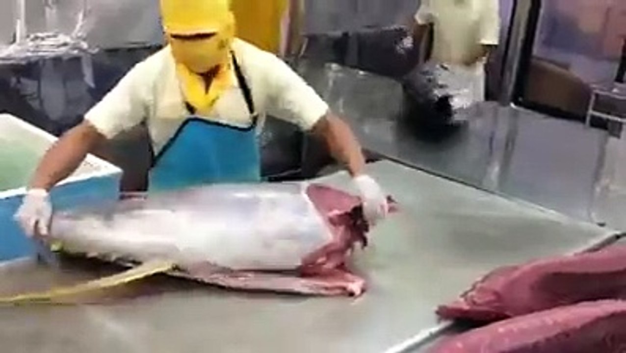 Super fast Tuna cutting