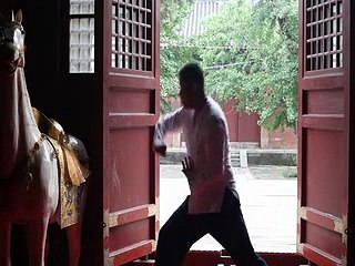 shaolin kung fu training