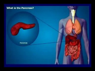 LE PANCREAS-Gastro البنكرياس -VERSION EN ARABE-DR.AMINE A.-CASABLANCA.mpg
