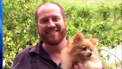 Stop Leash Pulling Gently!