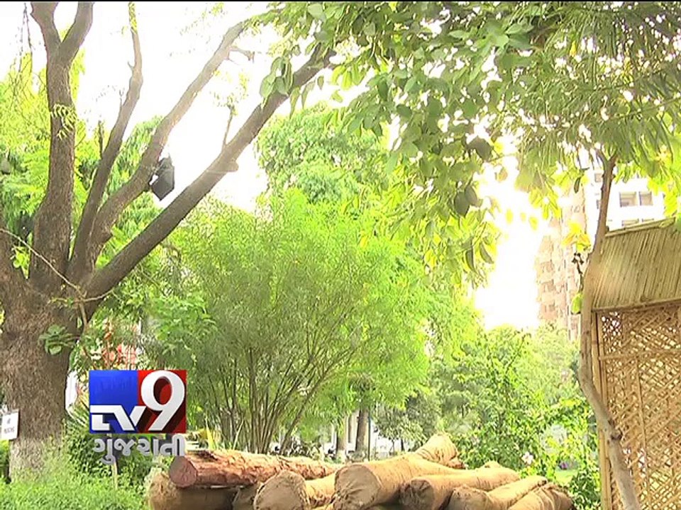 Nexus between 'Special Operations Group' and 'sandalwood smuggler' suspected - Tv9 Gujarati