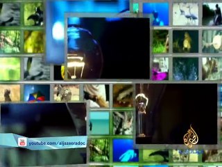 عبقري بالفطرة - الوقت والبيات في حياة بعض الكائنات