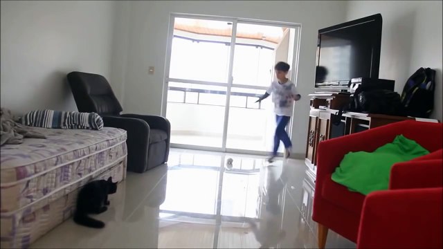 GiGi, le chat gardien !