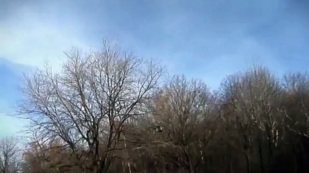 Golden Eagle Snatches Kid