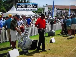 Tiger Woods - Stinger Pro Tracer (2I, 3W and Driver) 2014