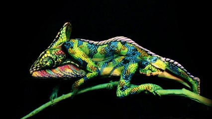 Caméléon - L'impressionnant Bodypainting de Johannes Stötter