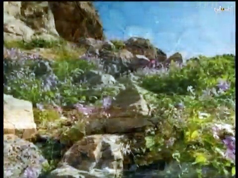 فلسطين هذا الصباح  الخميس 16-4-2015 ج1