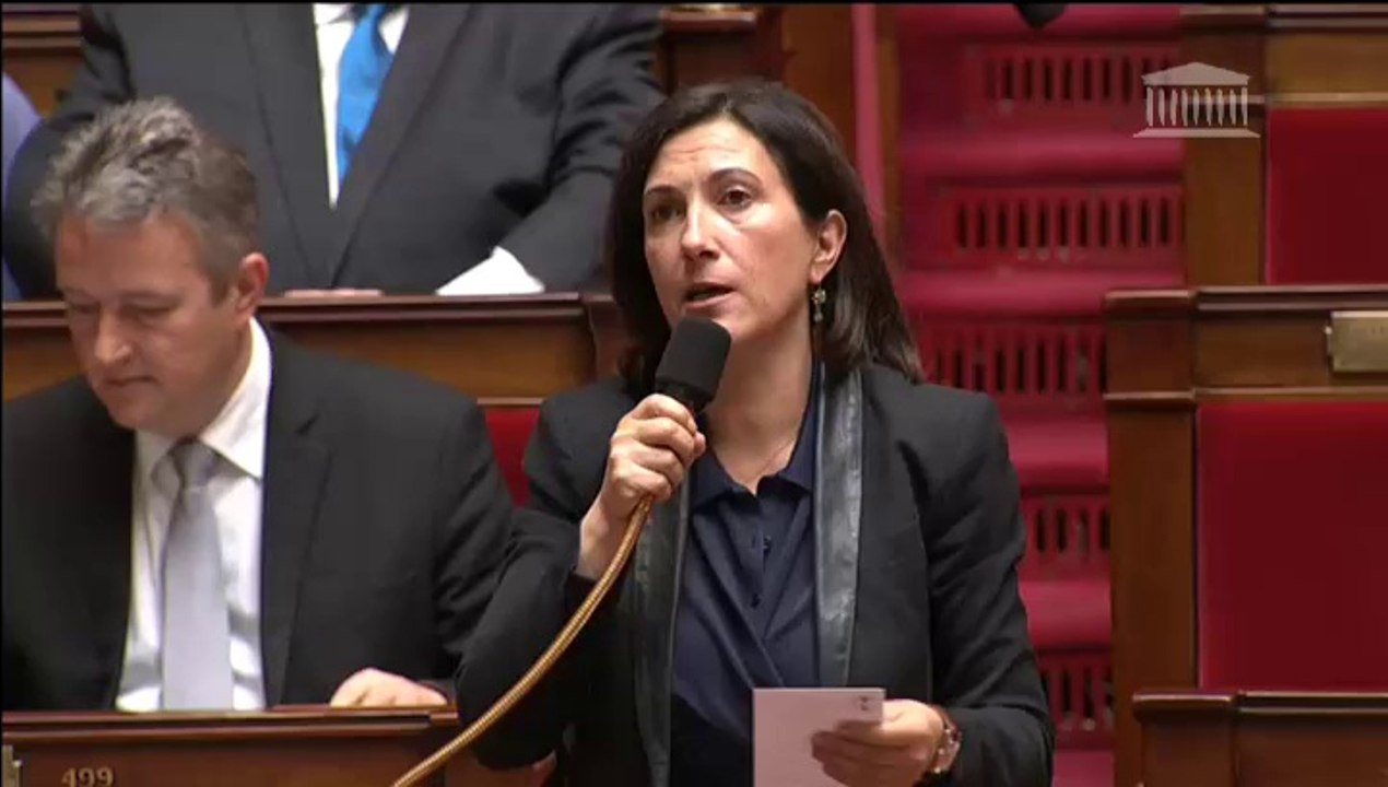 Loi Renseignement 1 15/04/15