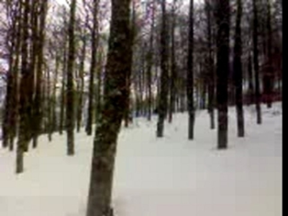ski chute wax
