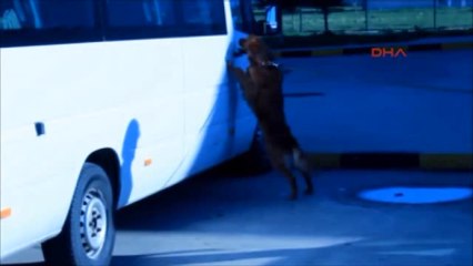 Edirne Kokain Dolu Çantayı Bırakıp Kaçtı