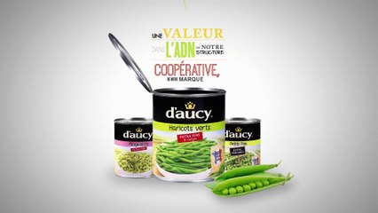 d'aucy : vous faites quoi pour le développement durable ?