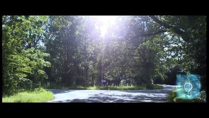 Generation IP: 2025 (interactive)