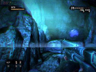 Выгуливаю Лже-Дюка. Прогулка четвёртая