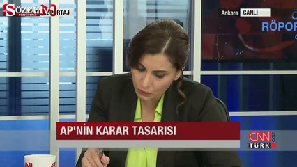 AB Bakanı'ndan Mahçupyan'a sert tepki