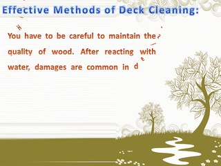 DeckSeal, Deck Washing Save Your Money and Time Both
