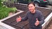 How to Plant 11 Tomato Plants in a Square Foot Raised Bed Garden