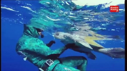 Un Giorno Speciale - 16 aprile 2015