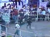 LOS TOROS DESTRUCTORES DE MEMO OCAMPO