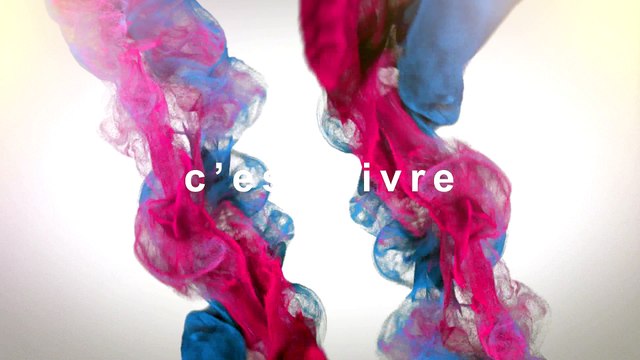 Vidéos Ecole des Arts Appliqués-SACR 2015 (Complet)