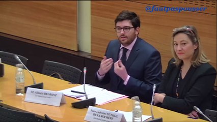 Commission d enquête Maintient de l'ordre (Assemblée Nat) Audition Ludo et Alban LaManifPourTous (partie 1)